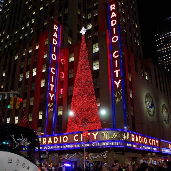 Meet your Posher, Gabriel - Picture 1 of 1